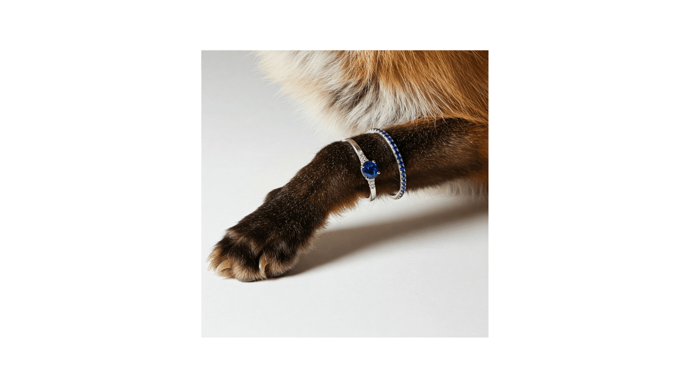 Fox paw